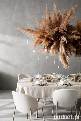 BoConcept